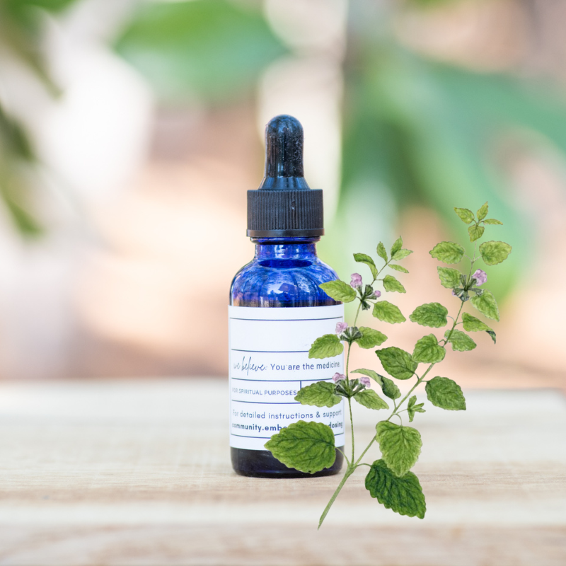 Lemon Balm Tincture Shop Image