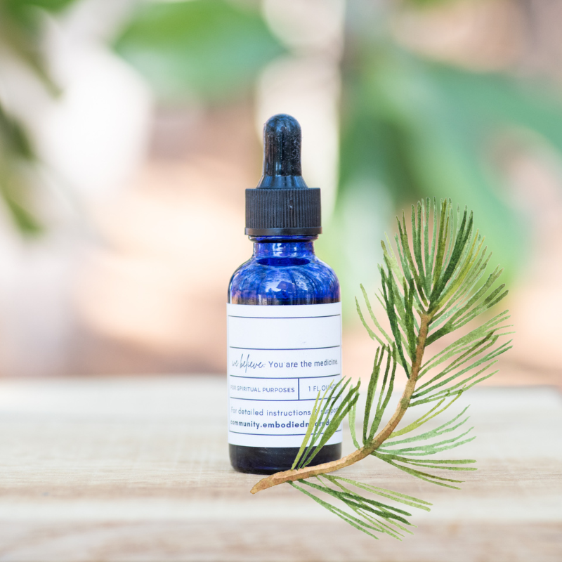 Pine Tincture Shop Image