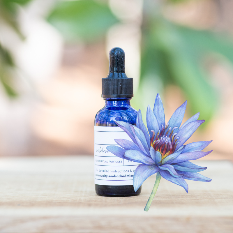 Blue Lotus Tincture Shop Image