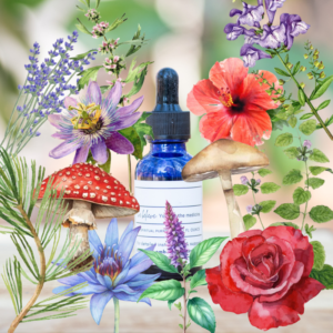 Custom Tincture Shop Image